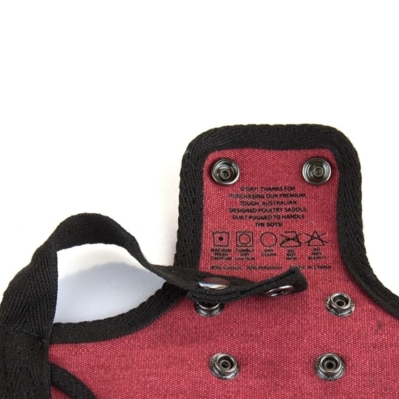 Premium Chicken Saddle Adjustable Straps Suit Small Medium and Large Hens - Picture 3 of 6